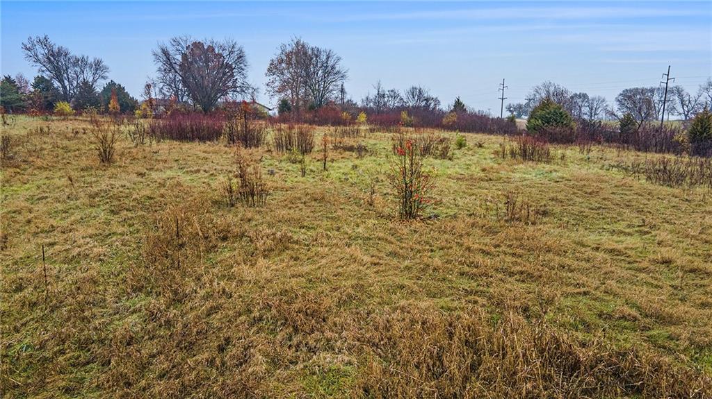 12619 Vines Rd, Kearney, MO 64060