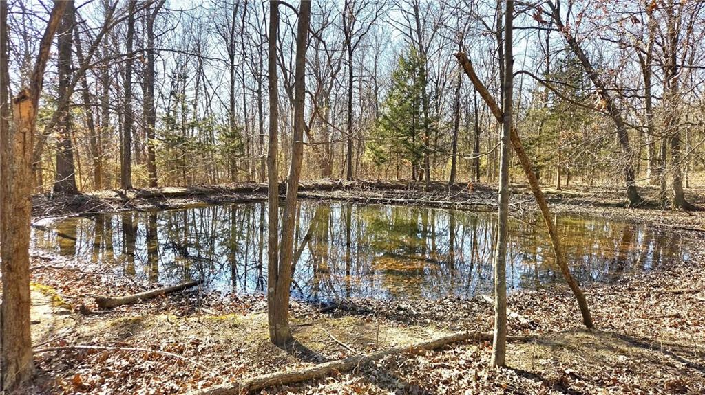 00000 Phillips Rd, Pleasanton, KS 66075