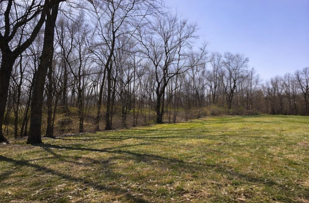 14921 Black Oak Dr, Smithville, MO 64089