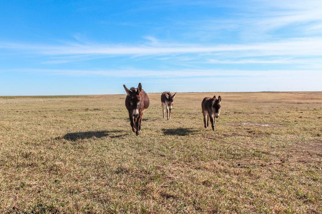 2680 Grants Villa Rd, Victoria, KS 67671
