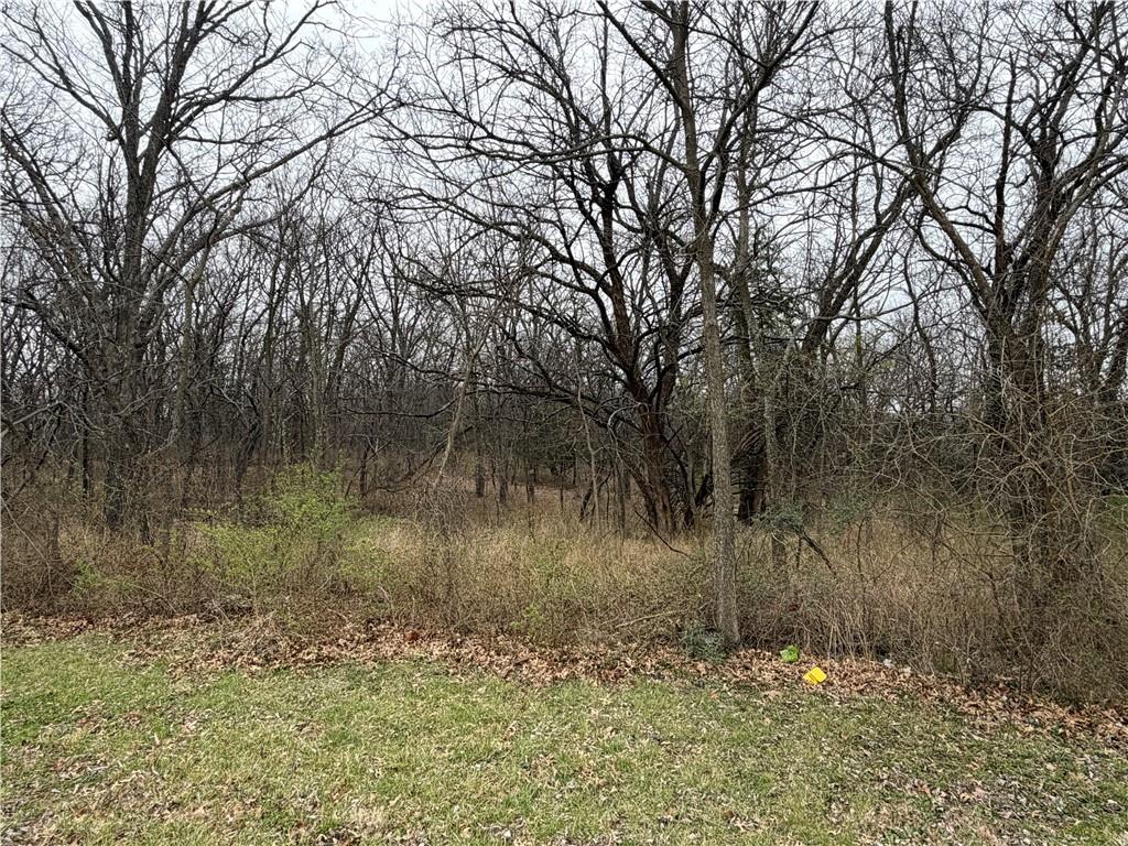 0000 Brown Ave, Osawatomie, KS 66064