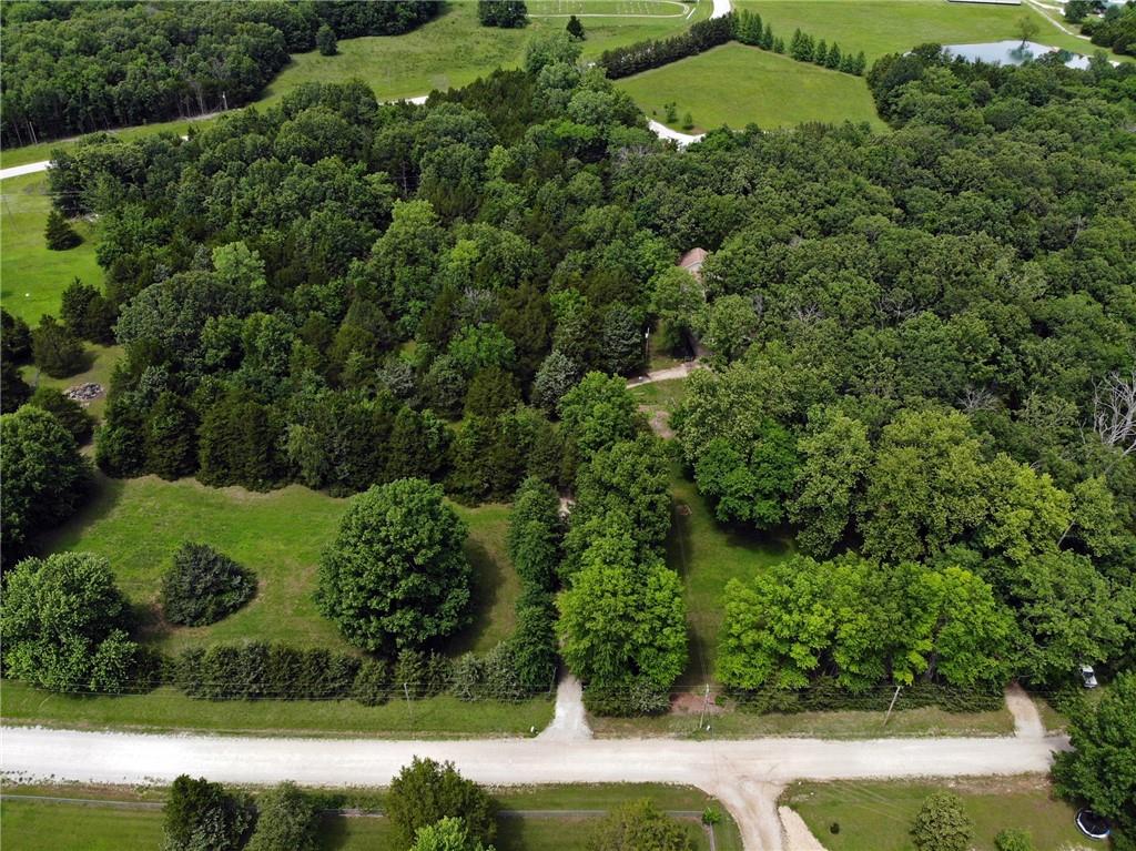 22303 County 253 Rd, Wheatland, MO 65779