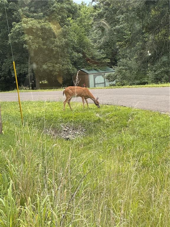 Lot 643 Lake Viking Ter, Gallatin, MO 64640
