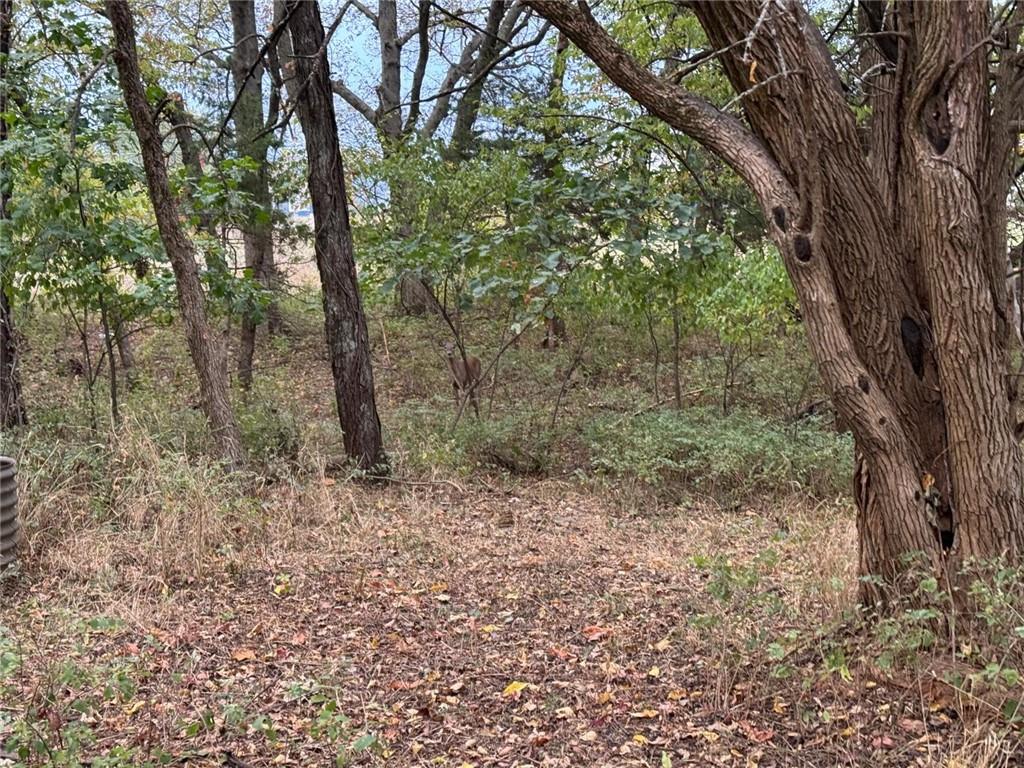 165 Linn Valley Blvd, Linn Valley, KS 66040