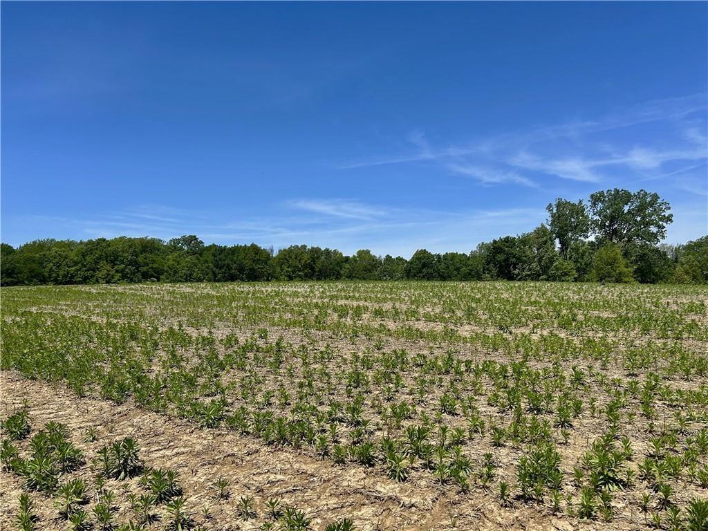 E Colbern Rd, Lone Jack, MO 64070