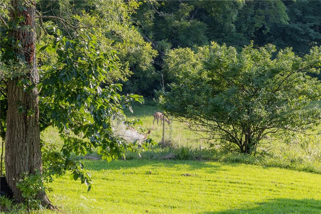 7165 Gibbs Rd, Kansas City, KS 66106
