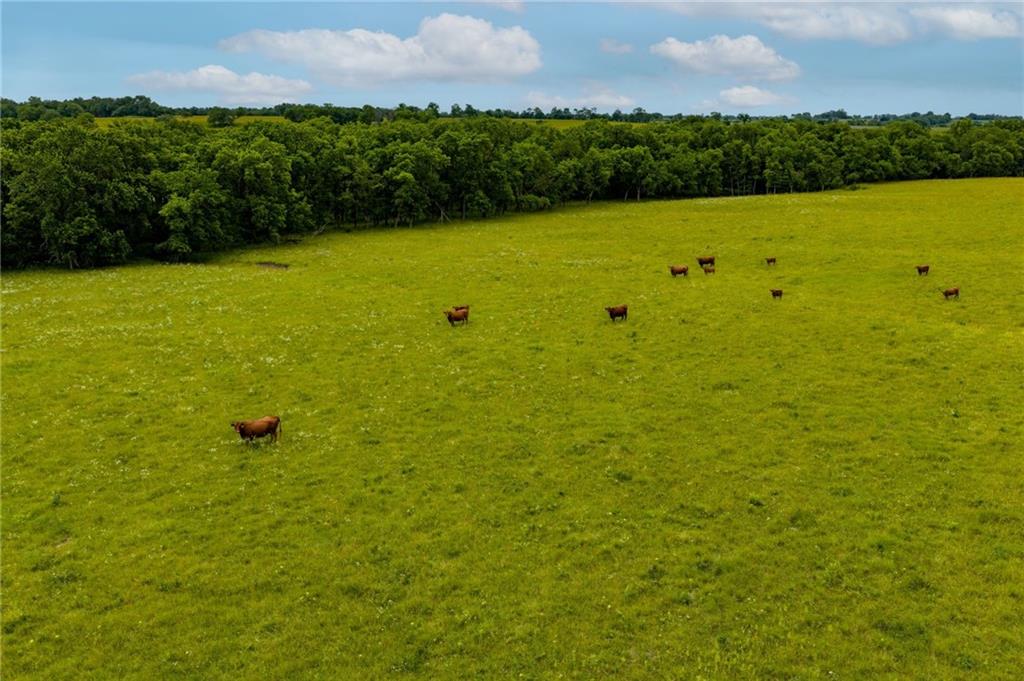 913 N 100 Rd, Baldwin City, KS 66006