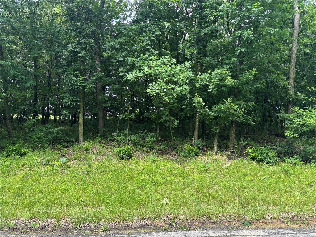 Lot 3063 Lake Viking Ter, Altamont, MO 64620