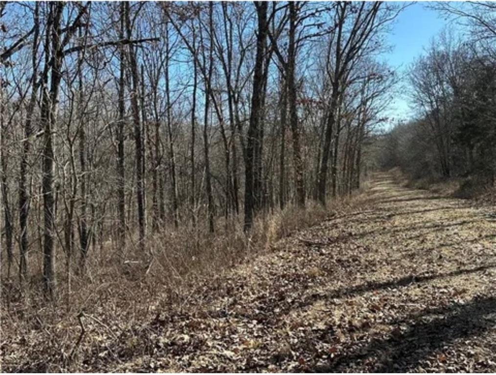 0 Rolfs Pl, Edwards, MO 65326