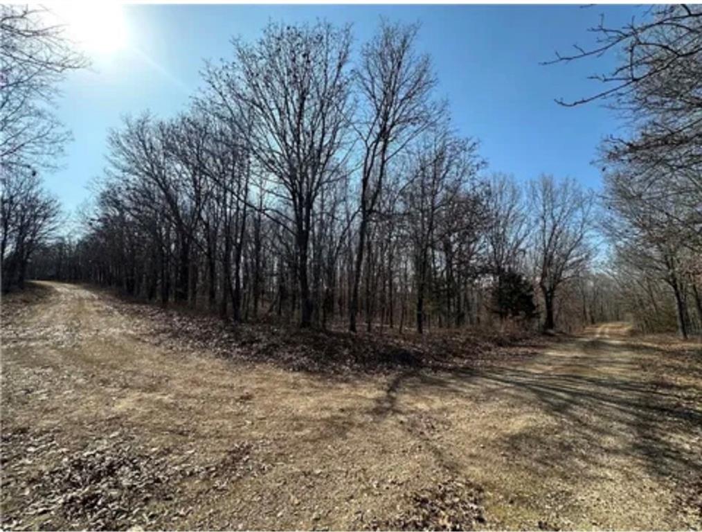 0 Rolfs Pl, Edwards, MO 65326