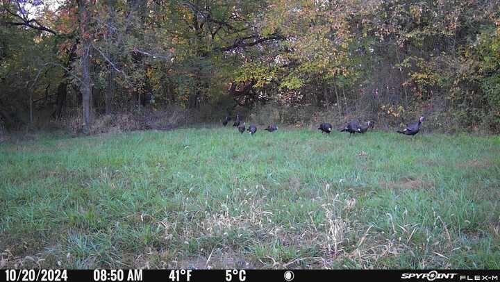 400 NW 1601st Rd, Kingsville, MO 64061