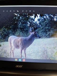 13277 Norris Rd, Rayville, MO 64084