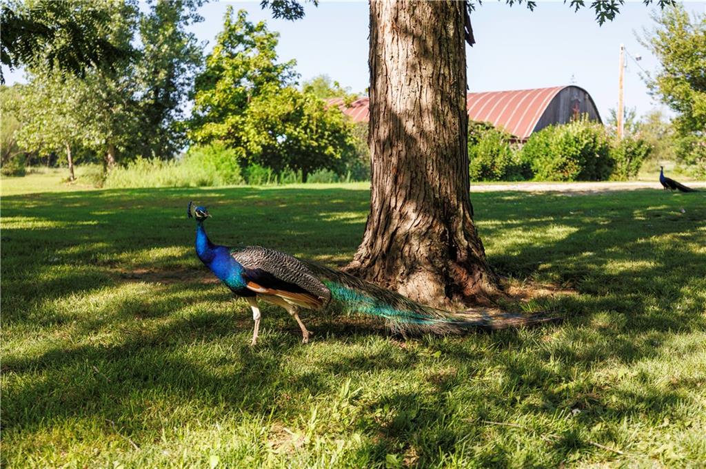 599 Kanza Rd, Yates Center, KS 66783