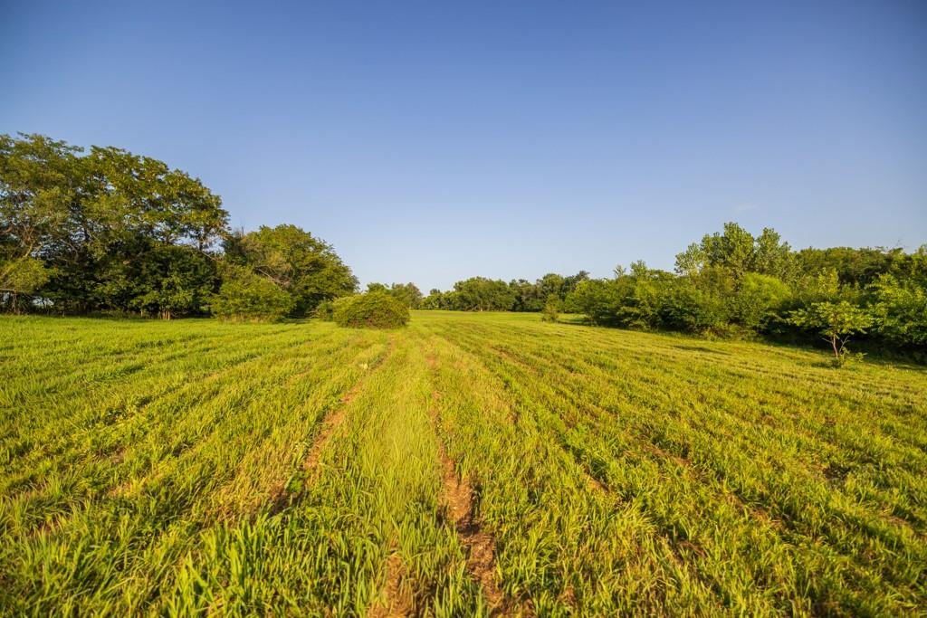 S Famuliner Rd, Garden City, MO 64747