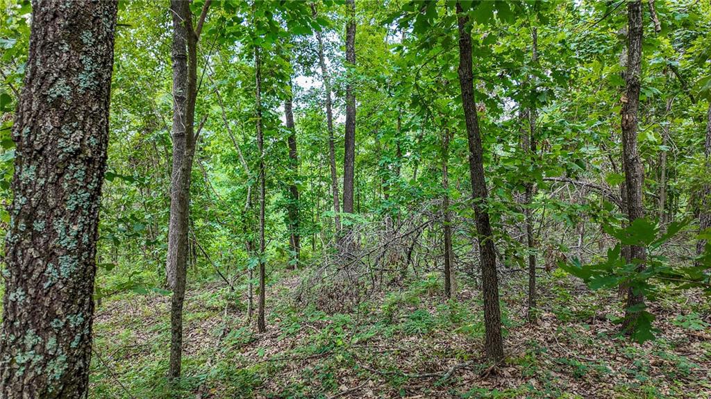 0000 NE 251 Rd, Osceola, MO 64776