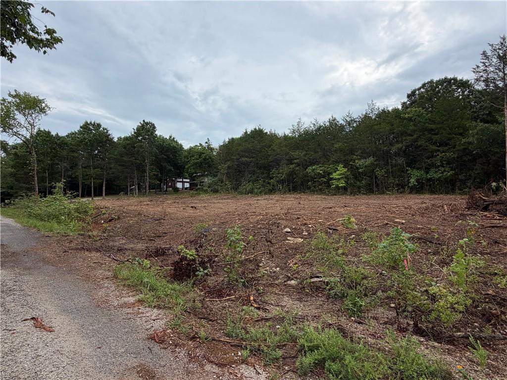 278 N Millwood St, Shell Knob, MO 65747