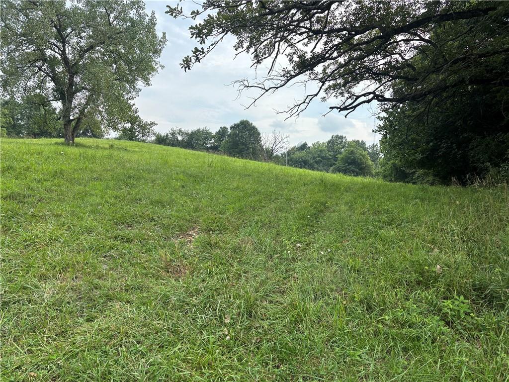 Lot 1049 Lake Viking Ter, Gallatin, MO 64640