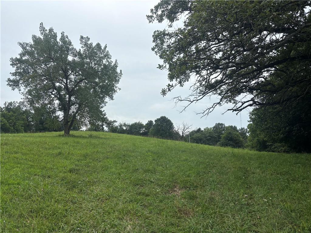 Lot 1049 Lake Viking Ter, Gallatin, MO 64640