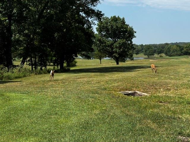 197 - 205 Fascination Ln, Linn Valley, KS 66040