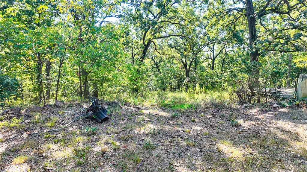 1855 NE 655 Private Rd, Osceola, MO 64776