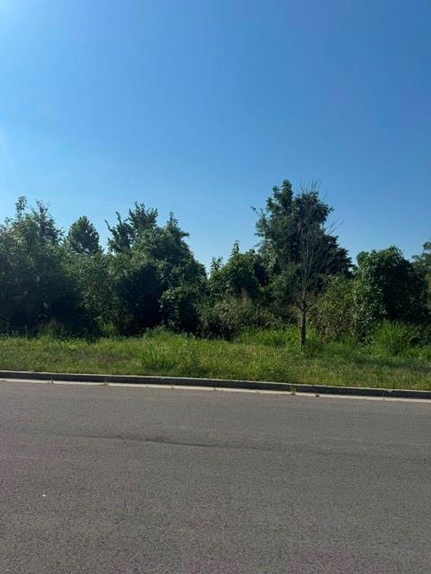 Brookside Dr, Blue Springs, MO 64015