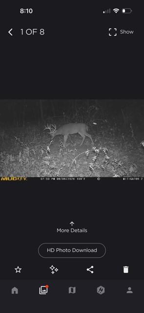 12206 NE State Route D Hw, Butler, MO 64730