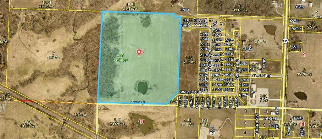 TBD SW 295 Rd, Holden, MO 64040