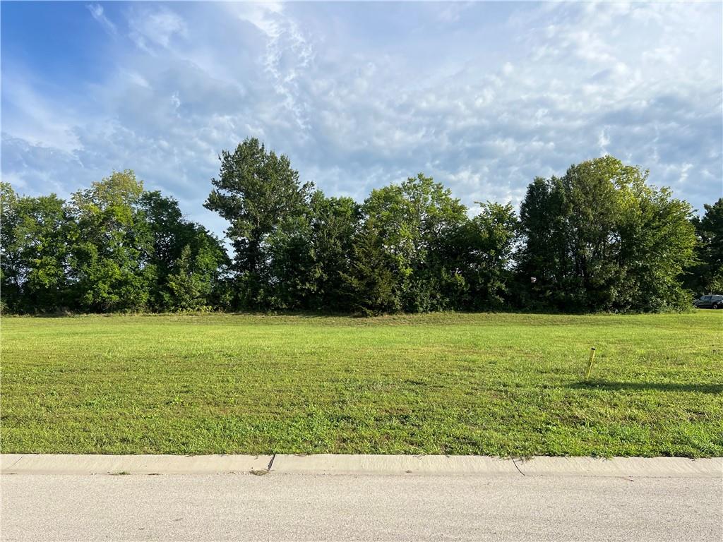 110 Melinda Dr, Kearney, MO 64060