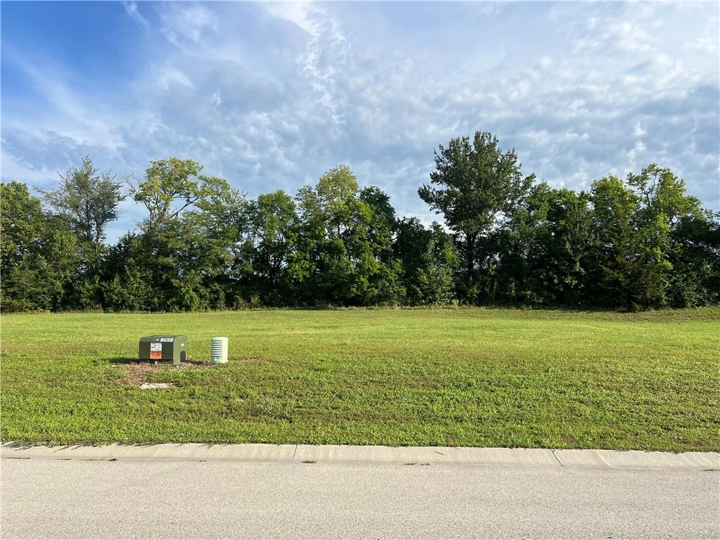 202 Melinda Dr, Kearney, MO 64060