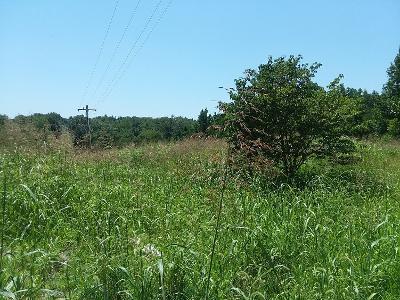 2000 S Route O N/A, Rocheport, MO 65279