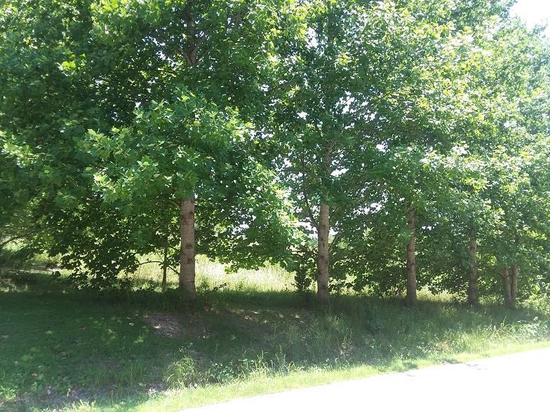 2000 S Route O N/A, Rocheport, MO 65279