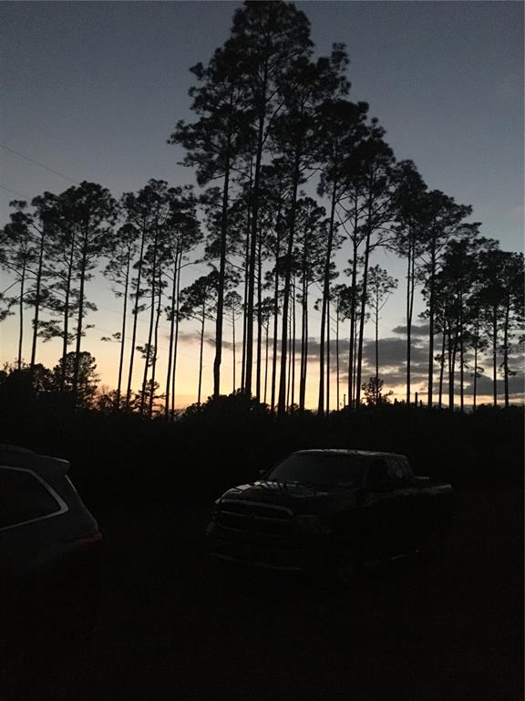 12058 Dr Whatapepsi Ln, Bryceville, FL 32009