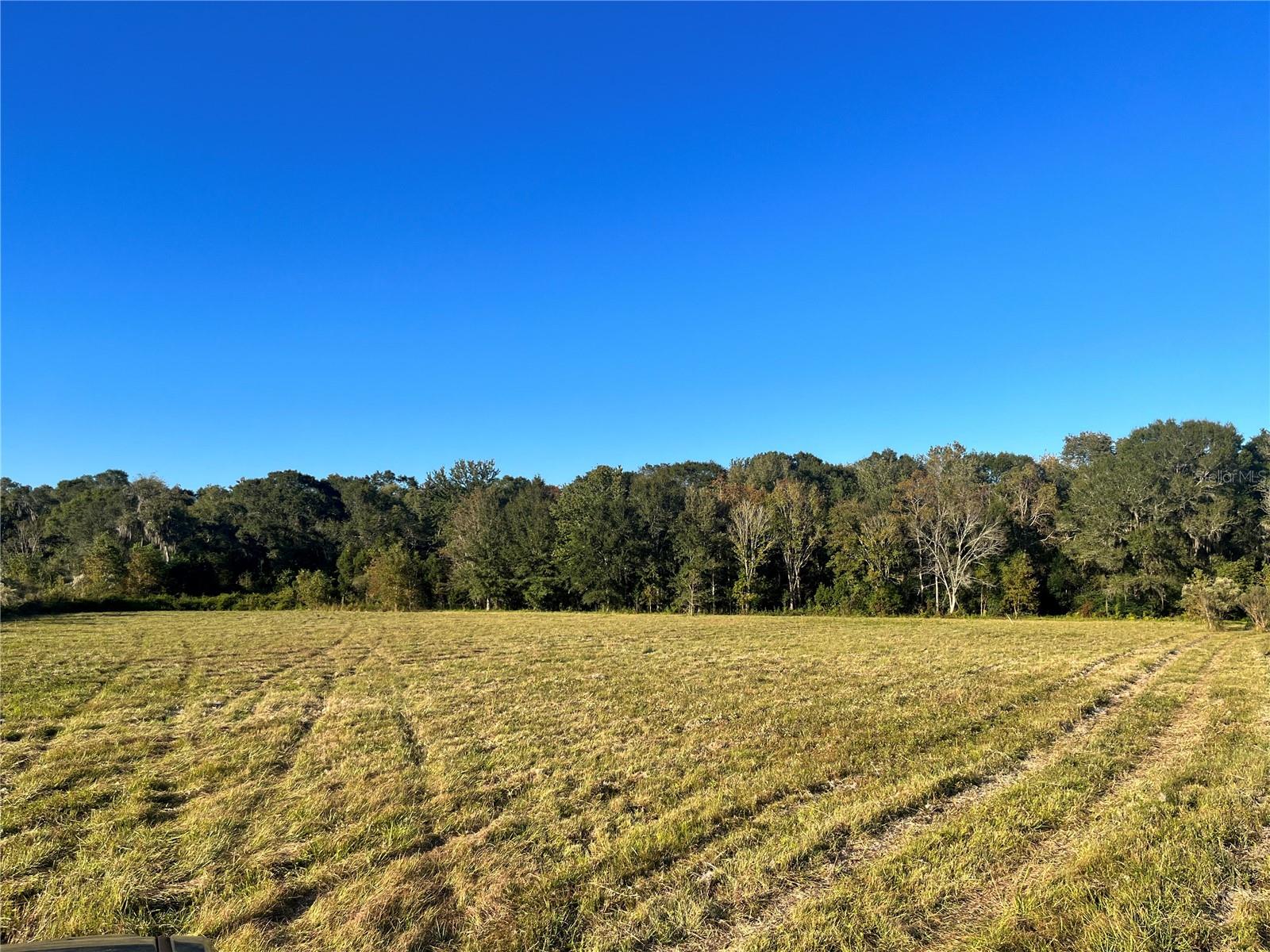 TBD NW County Road 225, Lawtey, FL 32058