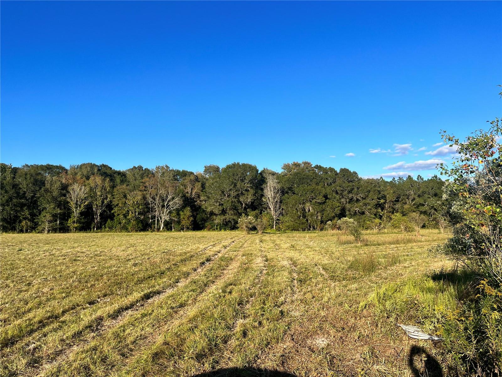 TBD NW County Road 225, Lawtey, FL 32058
