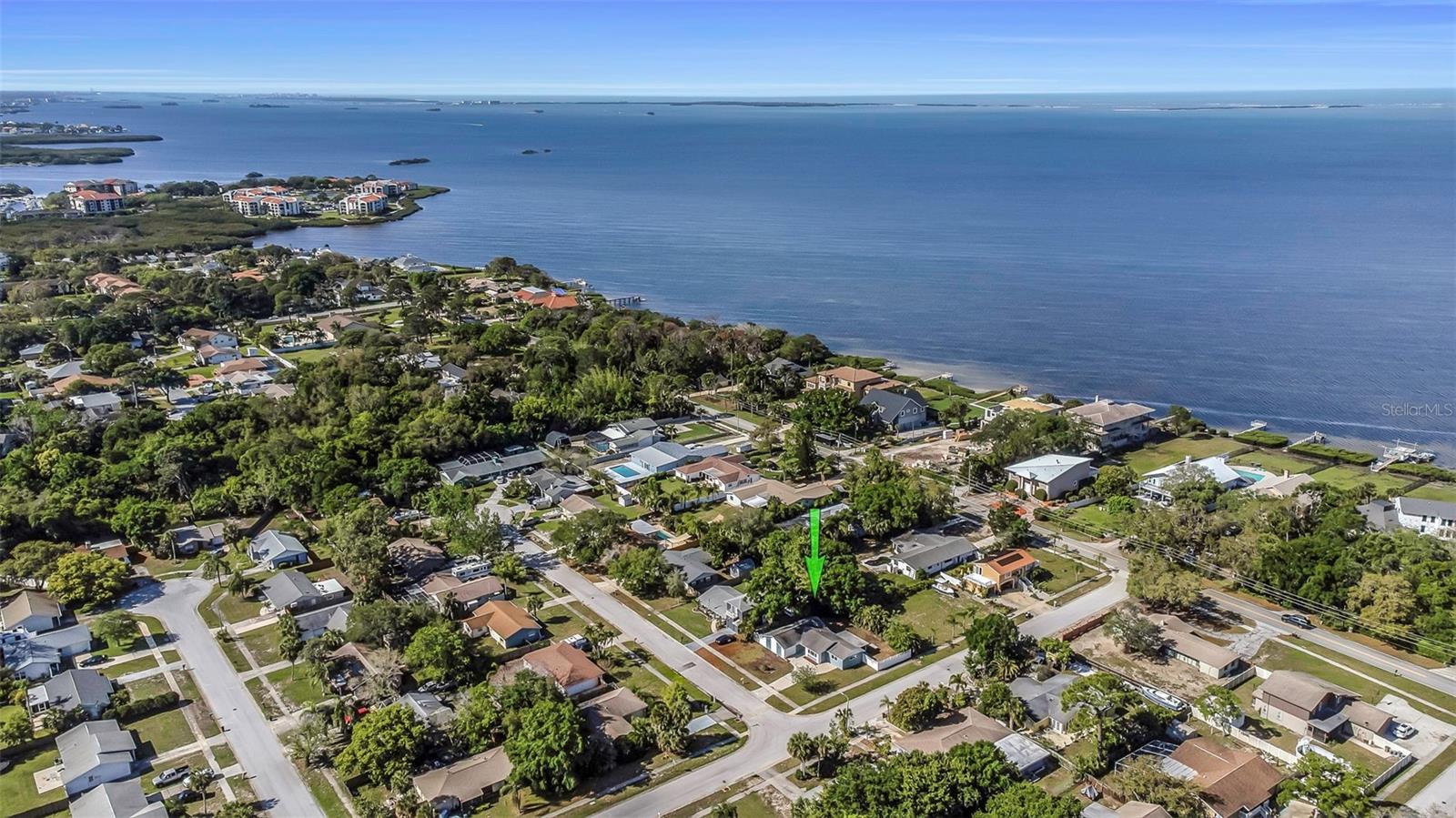 1004 Greenleaf Way, Tarpon Springs, FL 34689