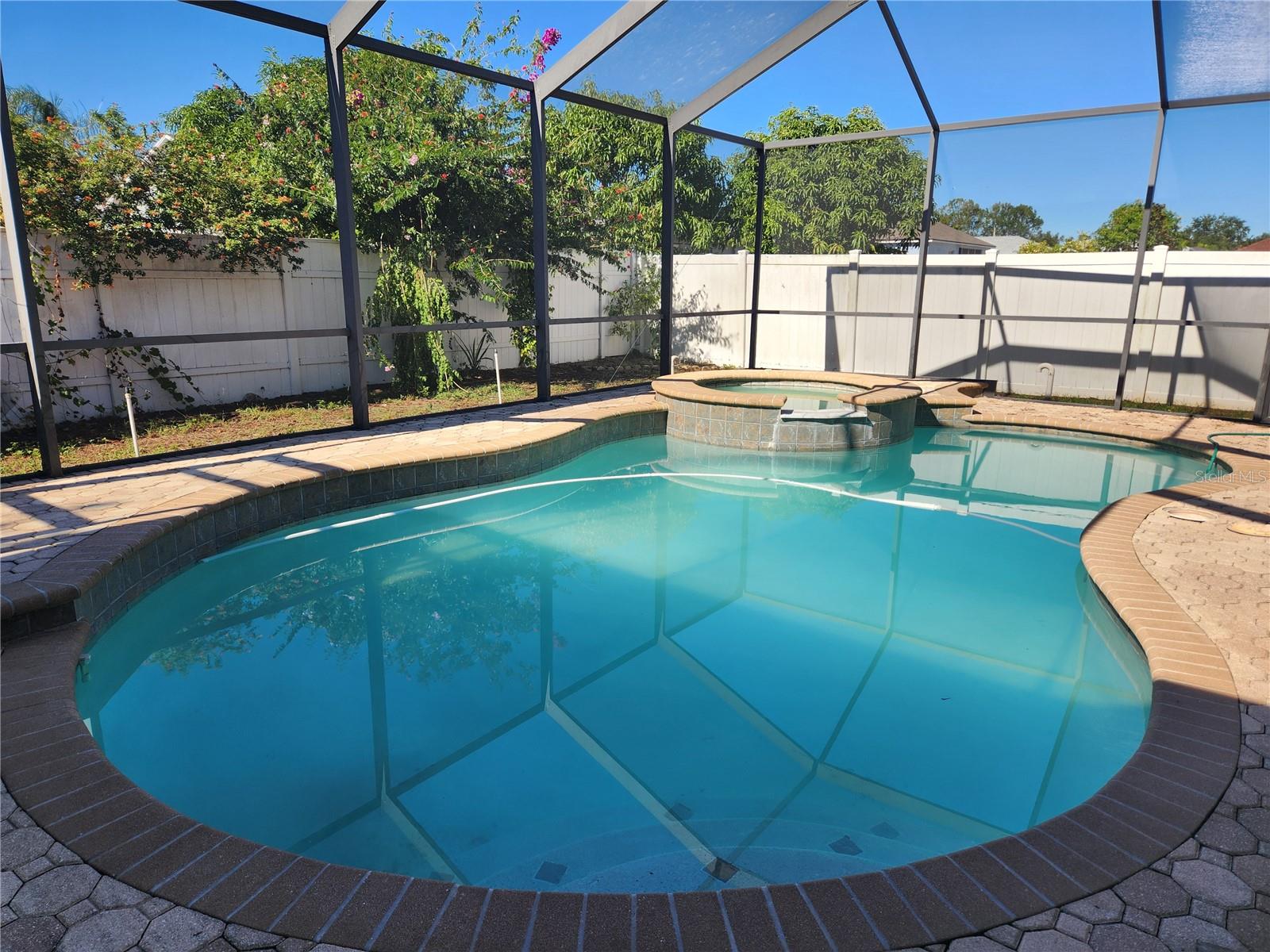 Lutz, FL 33559