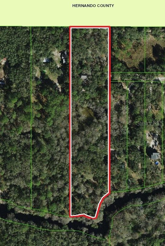 39716 Tworut Rd, Webster, FL 33597