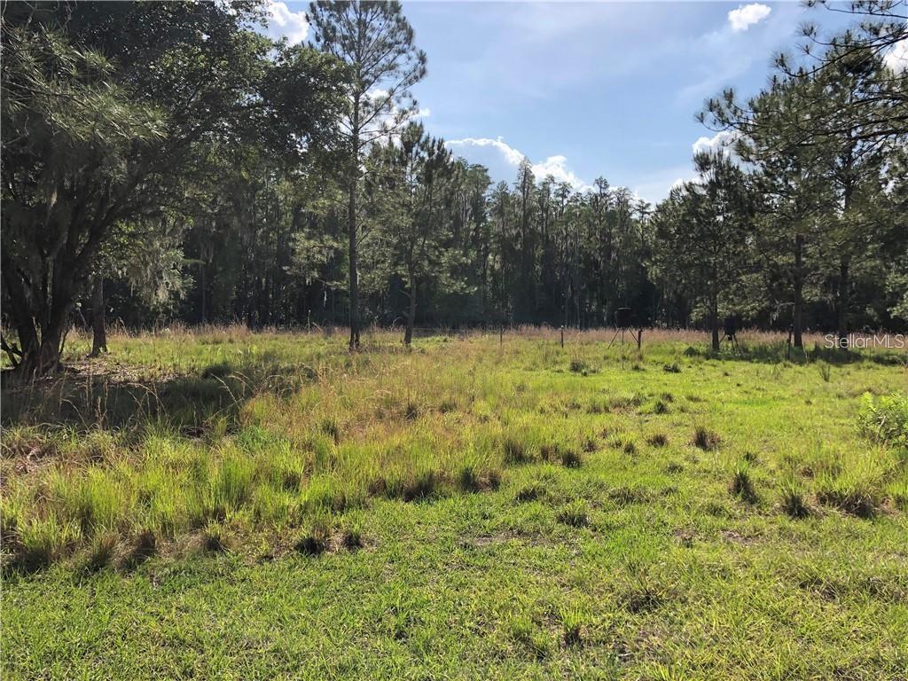 17301 Morris Bridge Rd, Thonotosassa, FL 33592