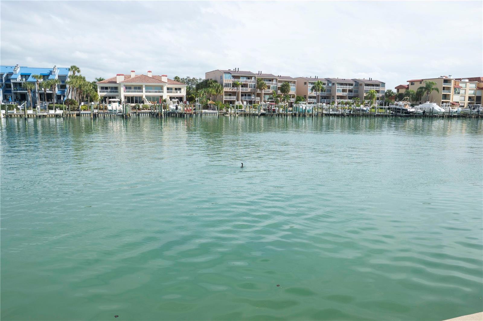 Galeon Dr, Tierra Verde, FL 33715