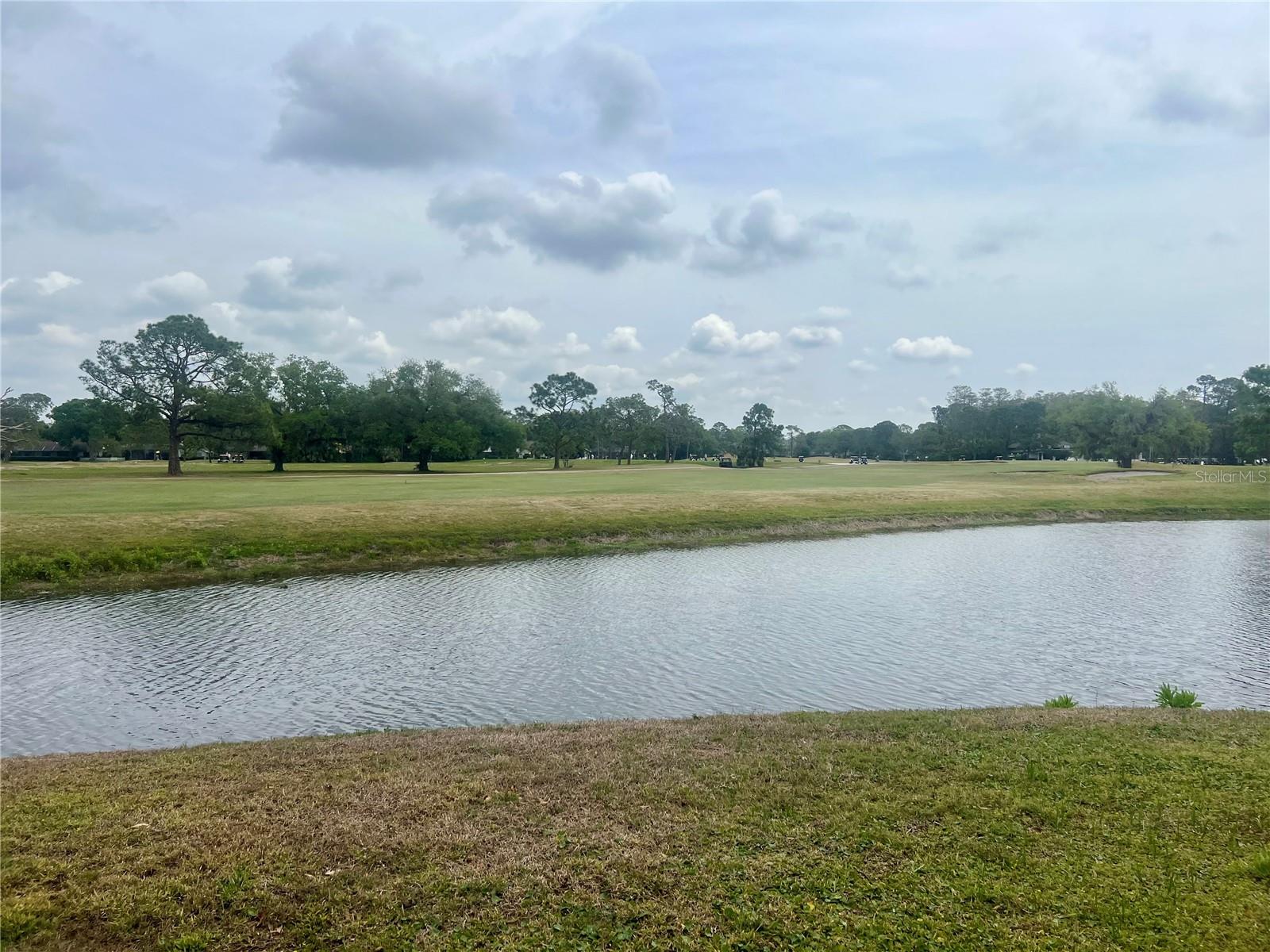 3629 Indigo Pond Dr #3629, Palm Harbor, FL 34685