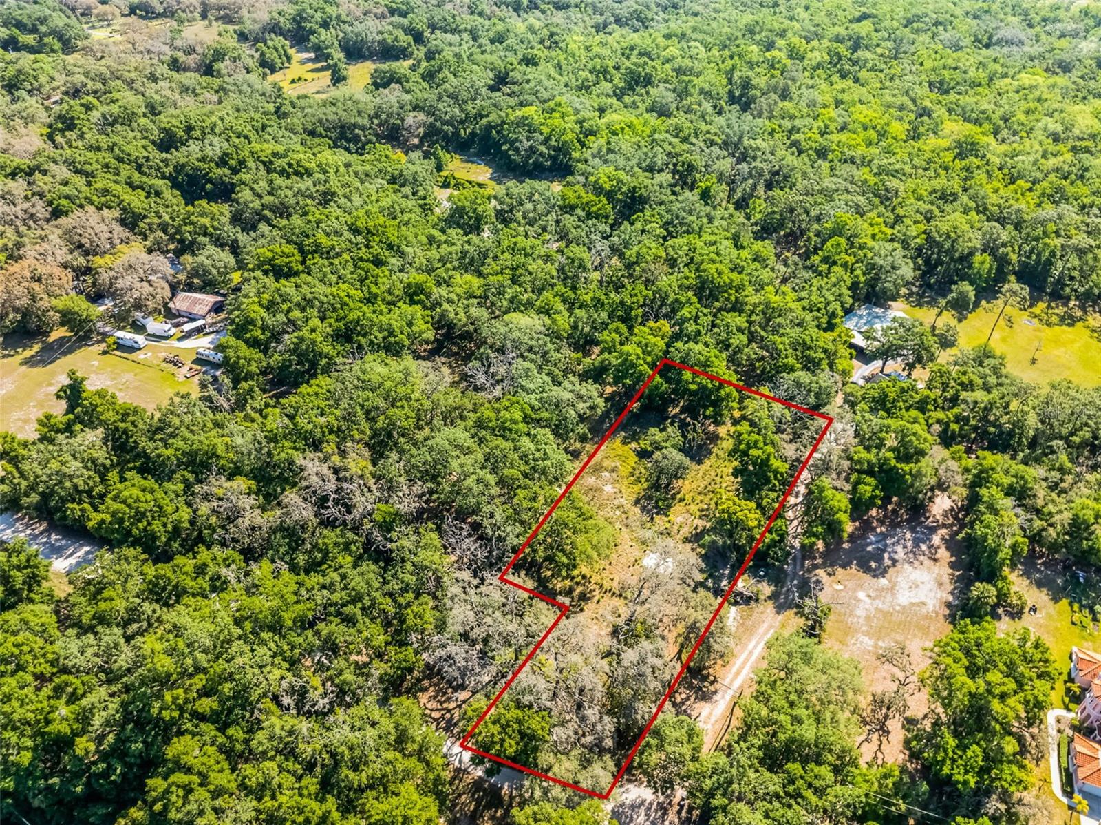 3633 Panther Path Rd, Lutz, FL 33559