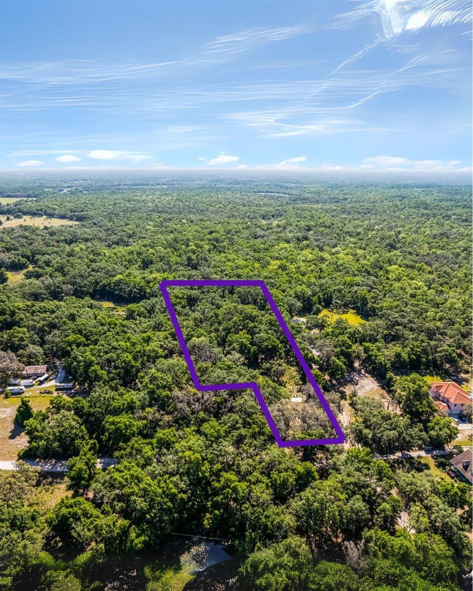 3633 Panther Path Rd, Lutz, FL 33559