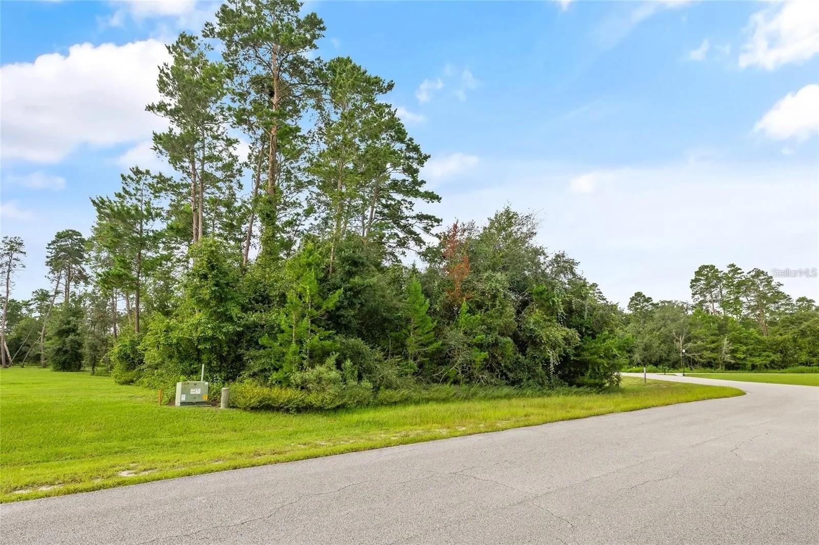 13615 Gopher Pond Ct, Hudson, FL 34669