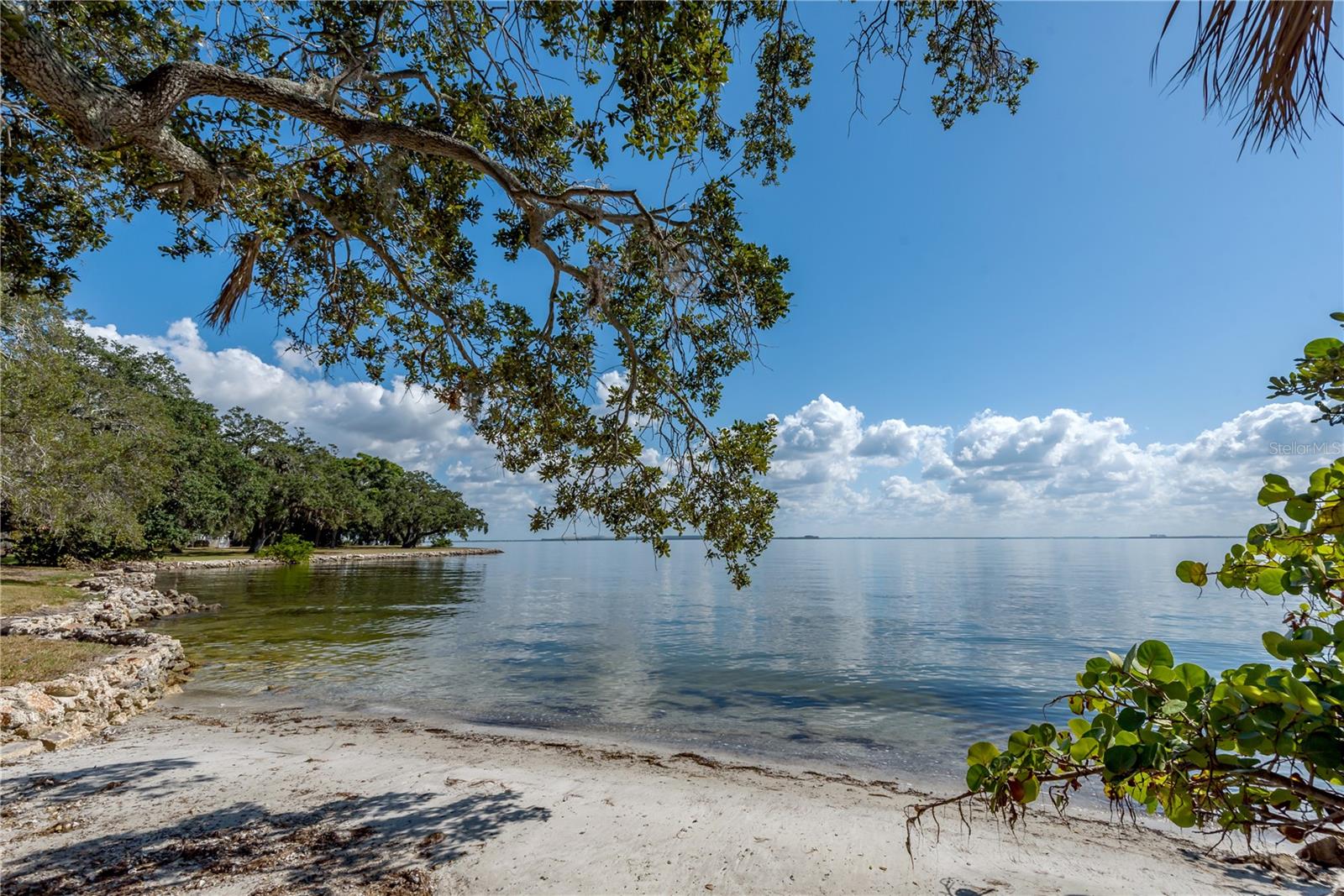 6210 Bayshore Blvd, Tampa, FL 33611