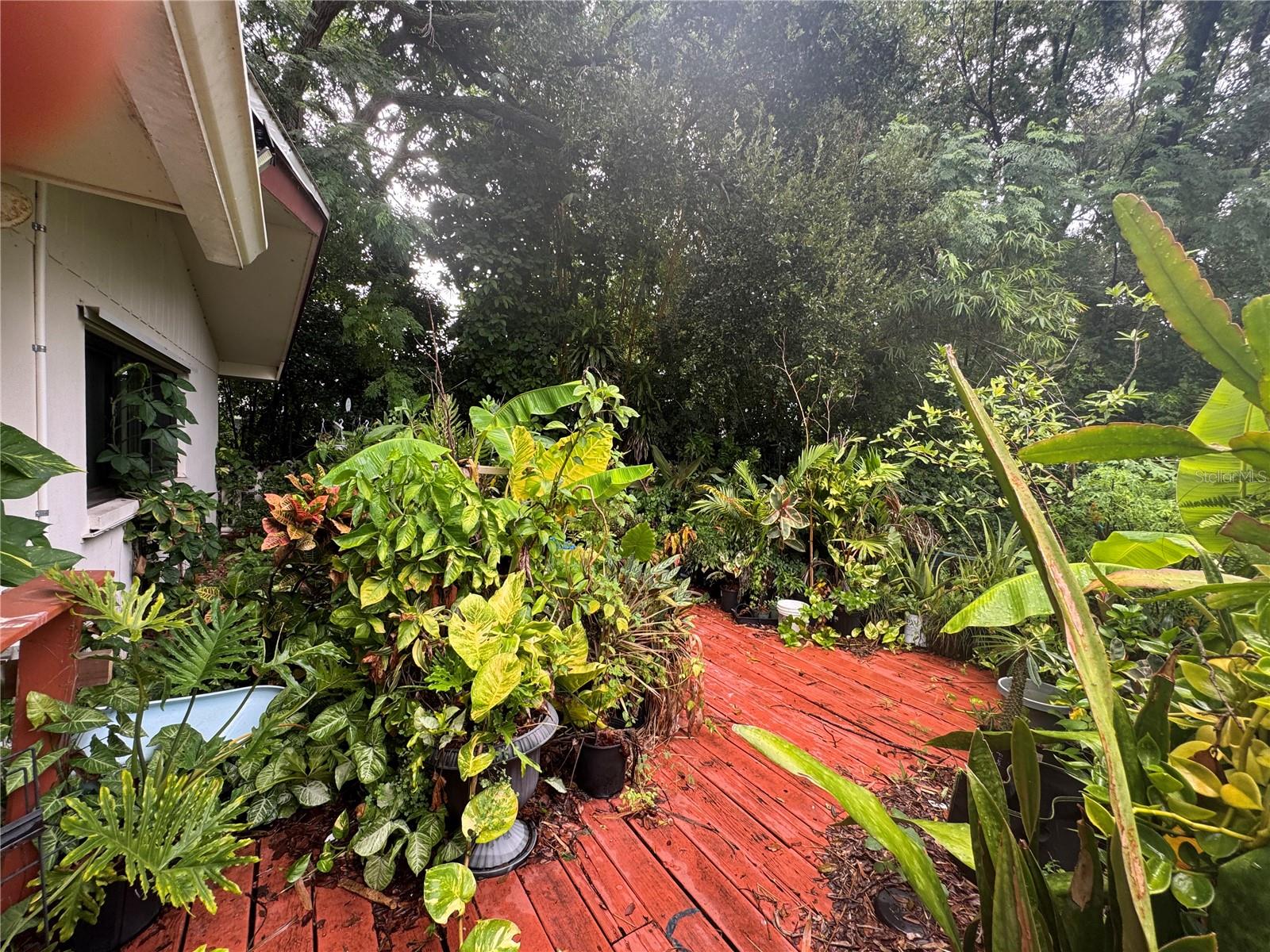 1680 Sunset Point Rd, Clearwater, FL 33755