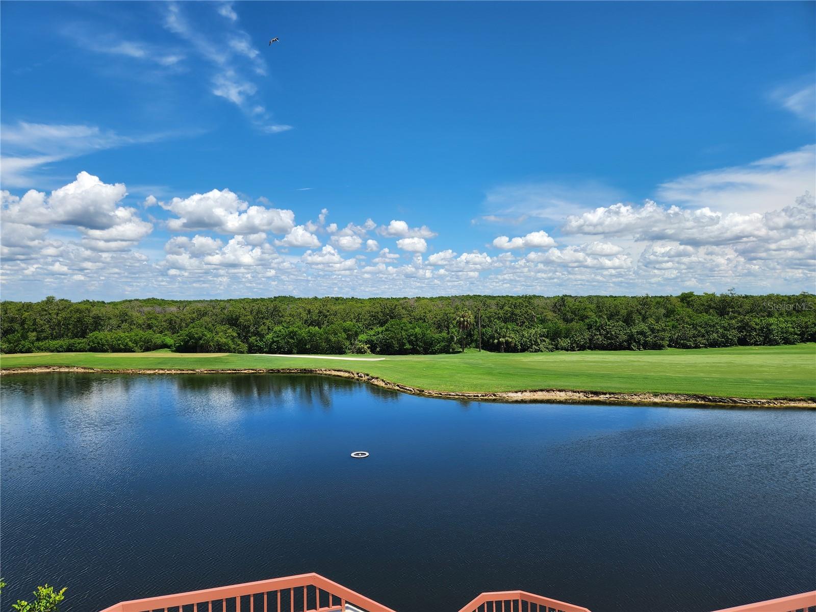 2333 Feather Sound Dr #B307, Clearwater, FL 33762