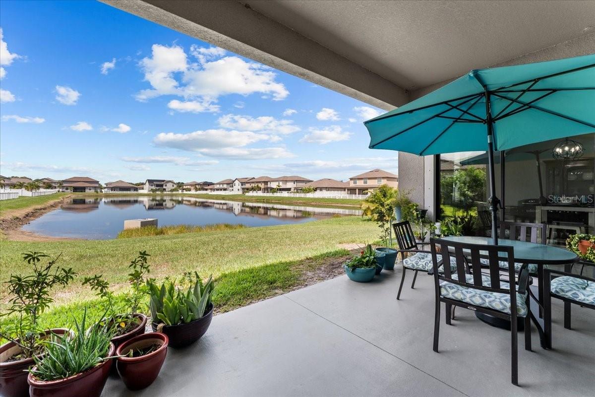 13443 White Sapphire Rd, Riverview, FL 33579