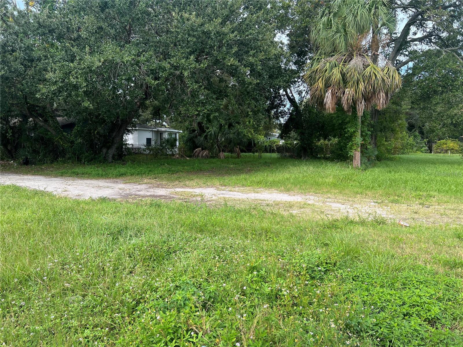 Martin Luther King Jr Ave, Clearwater, FL 33755
