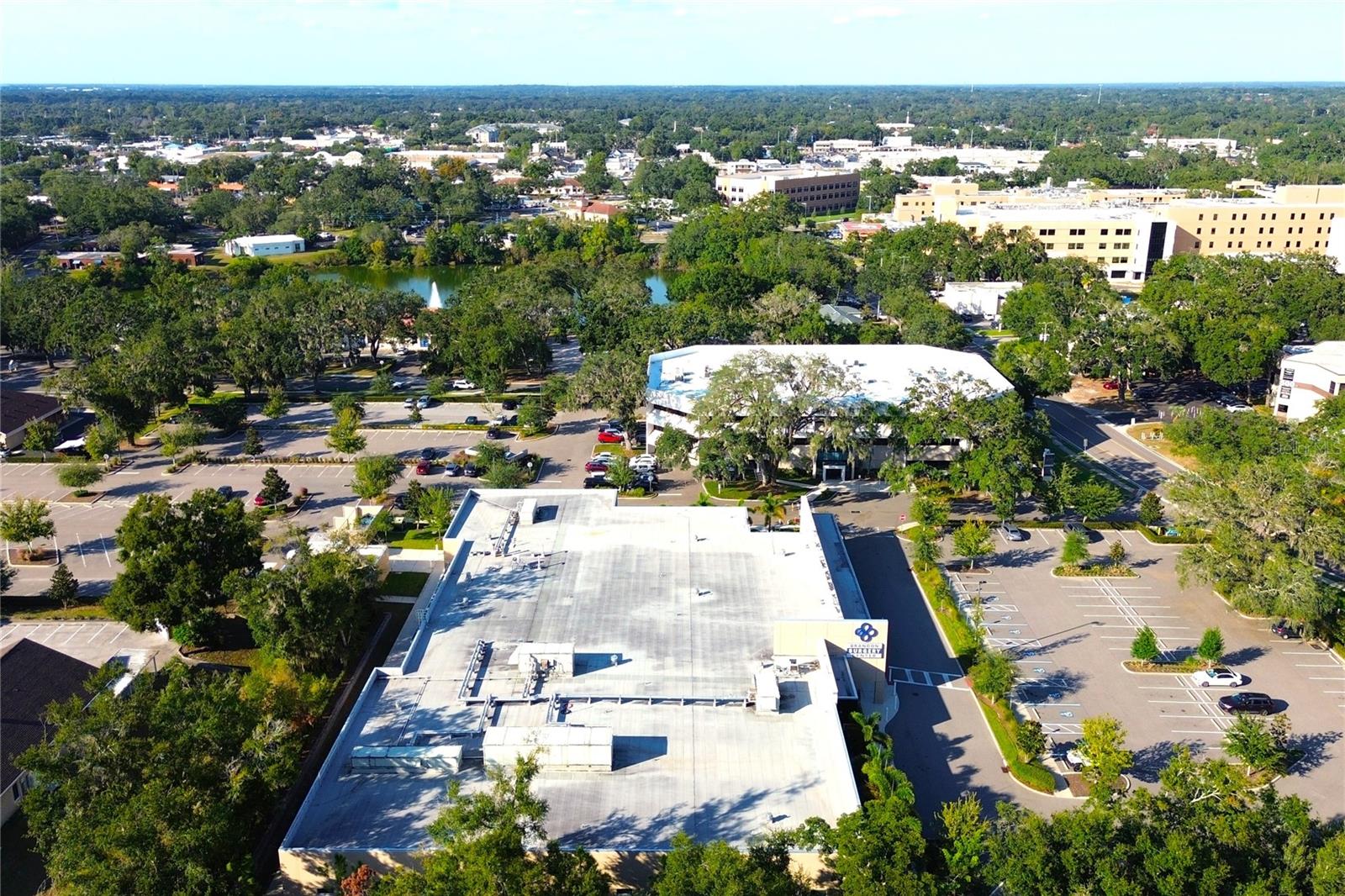314 Summer Clouds Pl, Brandon, FL 33511