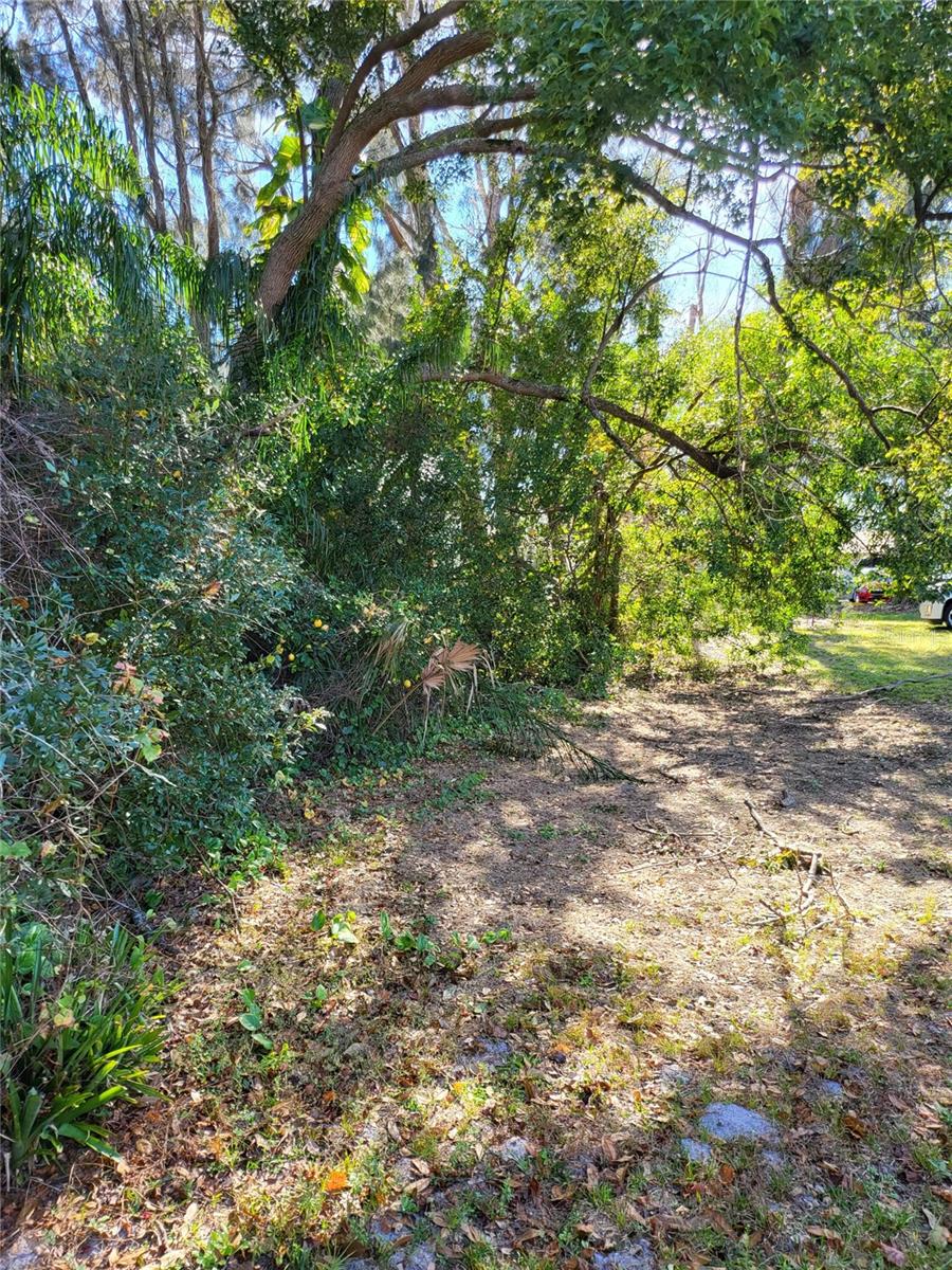 2131 Coachman Rd NE, Clearwater, FL 33765